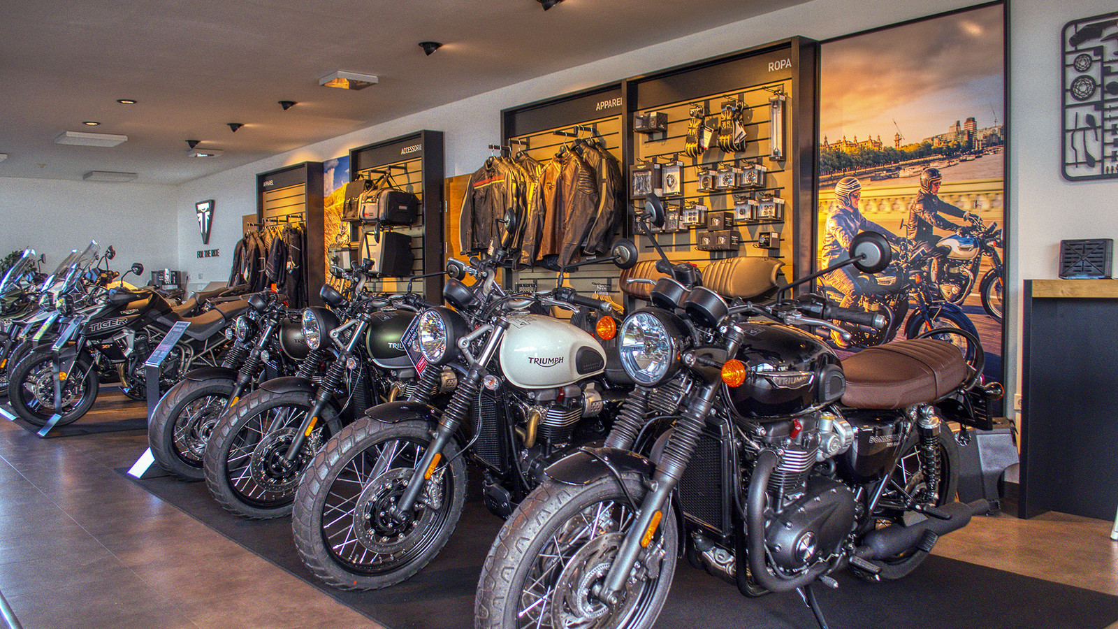 Triumph showroom